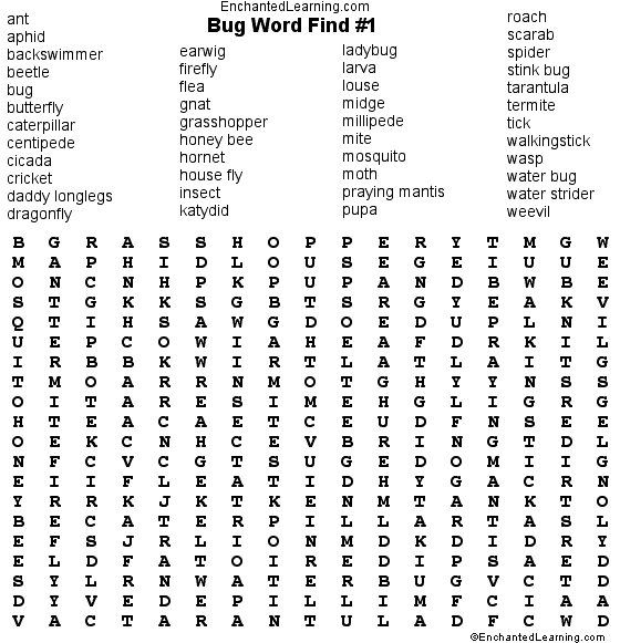 Search result: 'Bug Wordsearch Puzzle Puzzle'