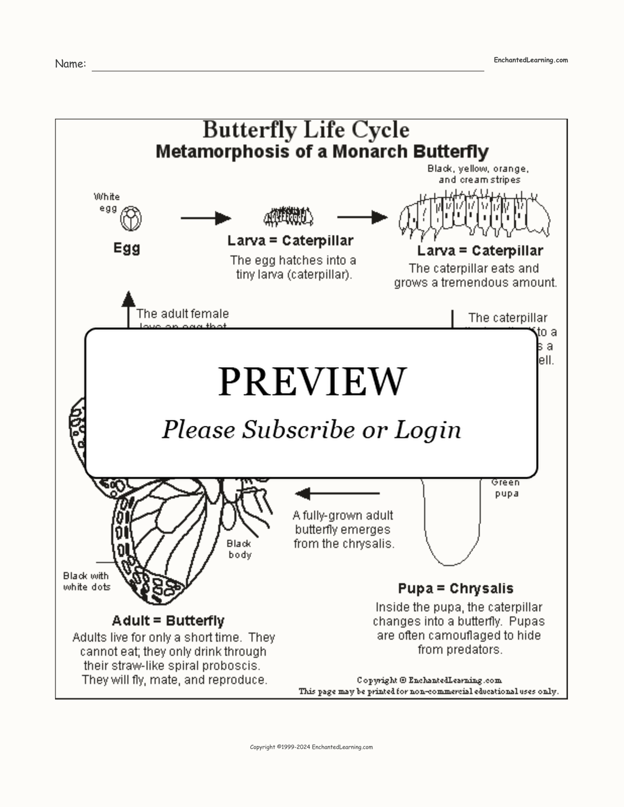 Monarch Butterfly Life Cycle Printout interactive printout page 1