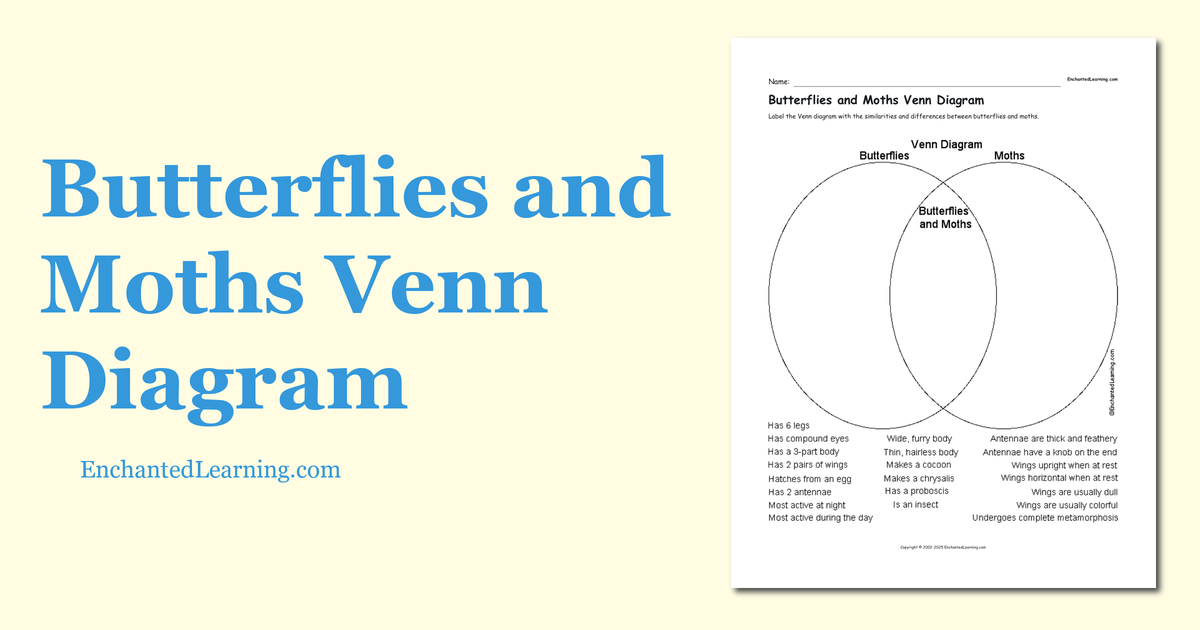 Butterflies and Moths Venn Diagram Enchanted Learning
