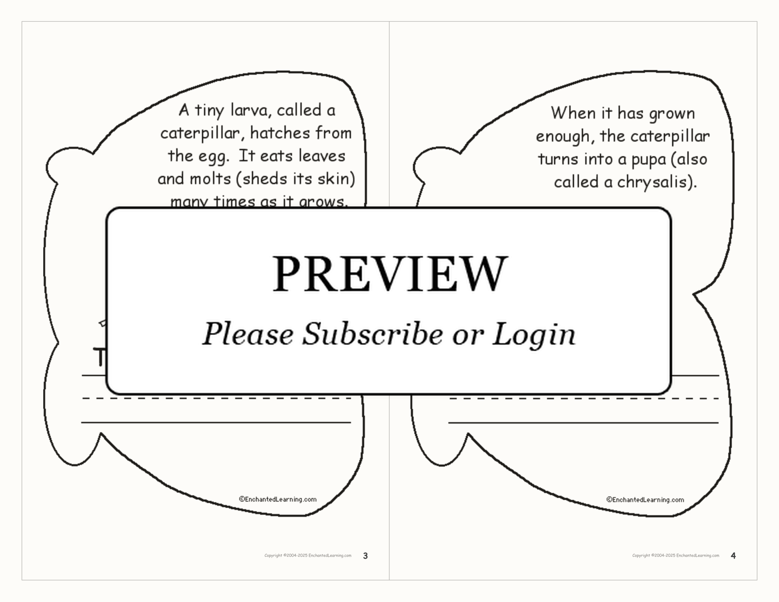 Life Cycle of a Butterfly Book interactive printout page 2