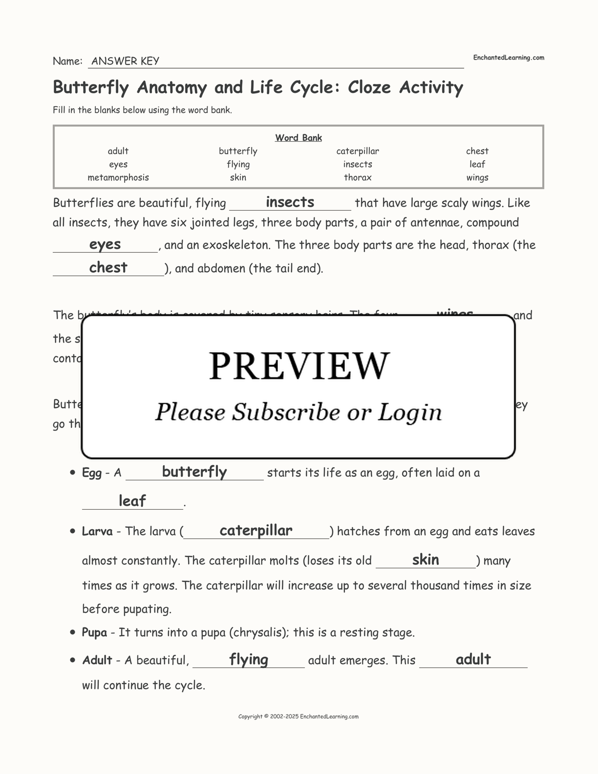 Butterfly Anatomy and Life Cycle: Cloze Activity interactive worksheet page 2