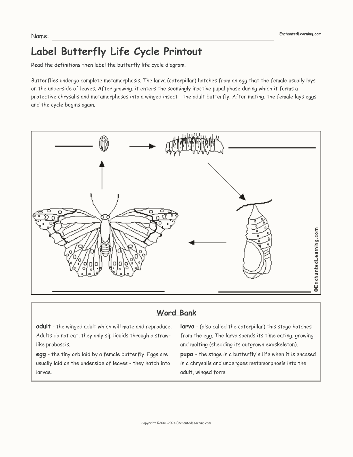 Label Butterfly Life Cycle Printout interactive worksheet page 1