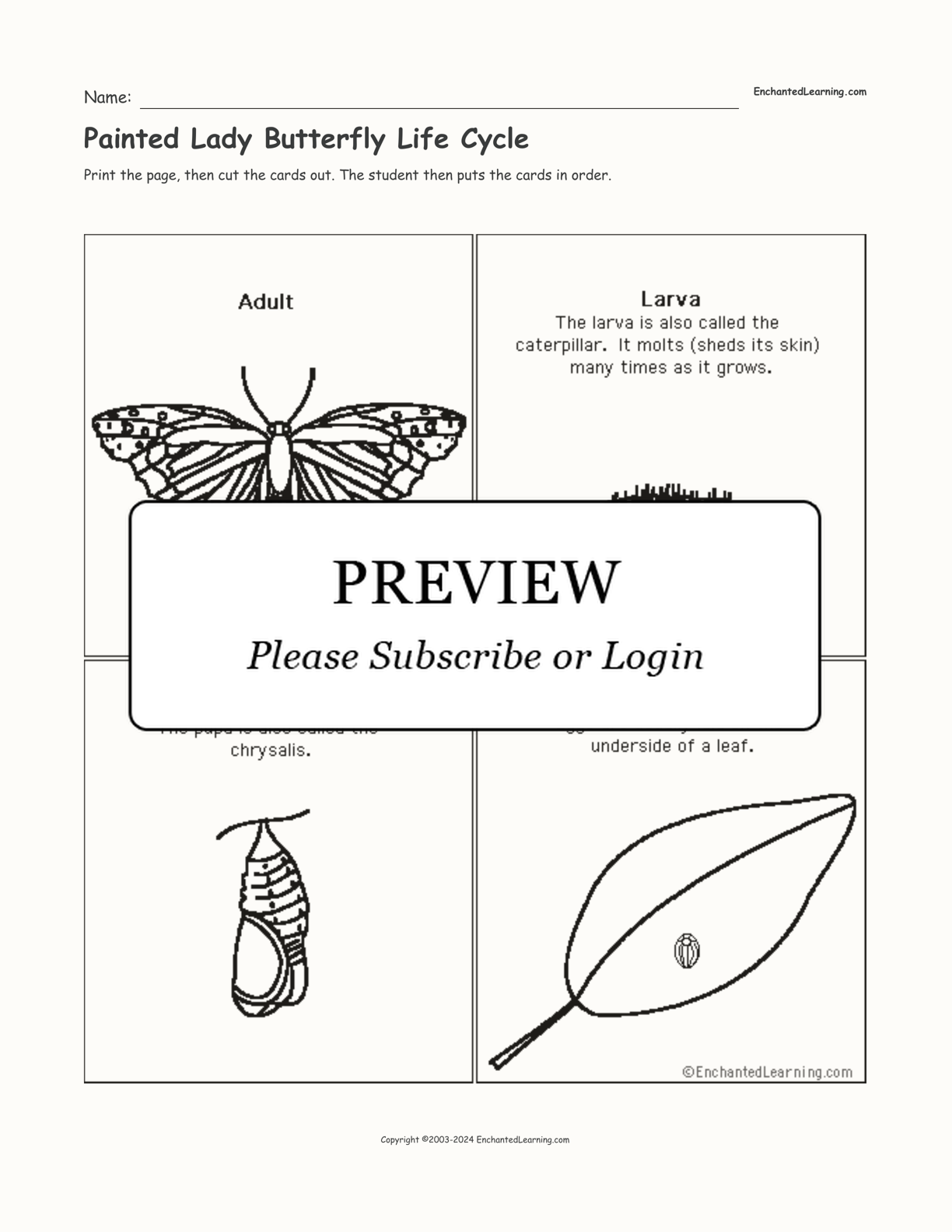 Painted Lady Butterfly Life Cycle interactive worksheet page 1
