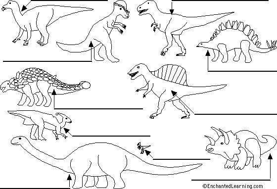 Search result: 'Label Dinosaurs Printout'