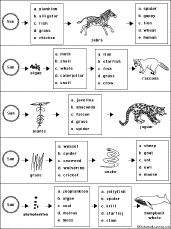 Search result: 'Complete the Food Chains Worksheet #2'