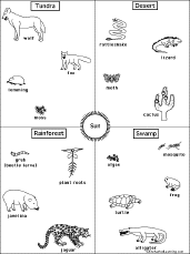 food chains