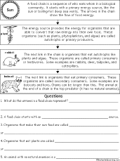 Search result: 'Food Chain - Information and Questions Worksheet'