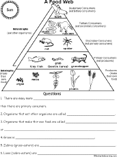 food web assignment grade 9