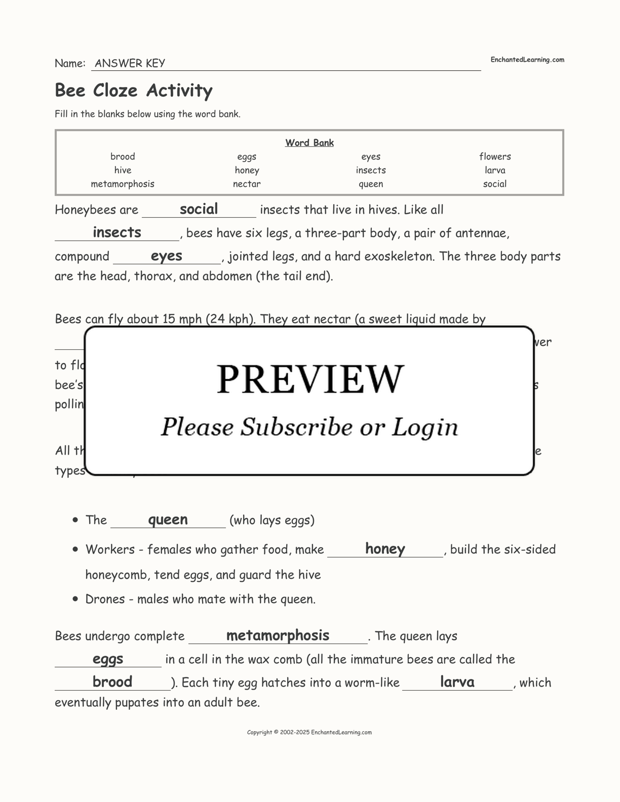 Bee Cloze Activity interactive worksheet page 2