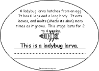 Search result: 'Life Cycle of a Ladybug Book, A Printable Book: Larva'