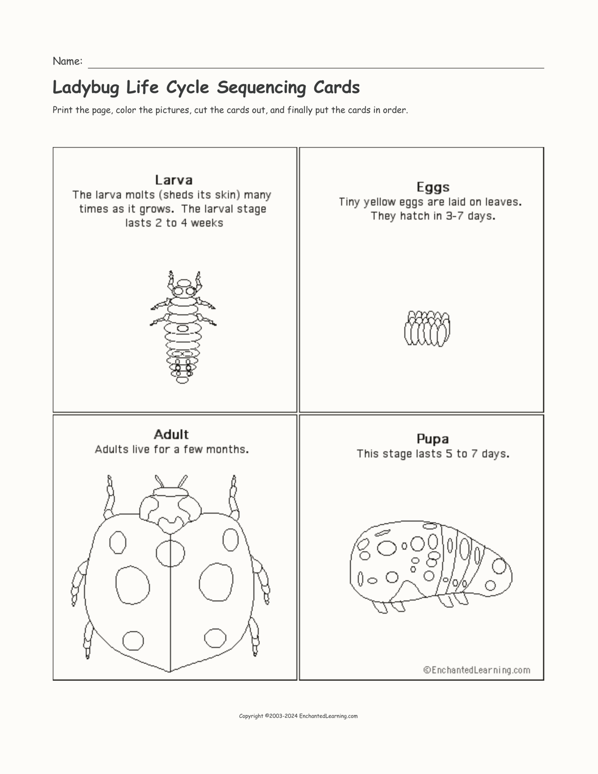 Ladybug Life Cycle Sequencing Cards interactive printout page 1