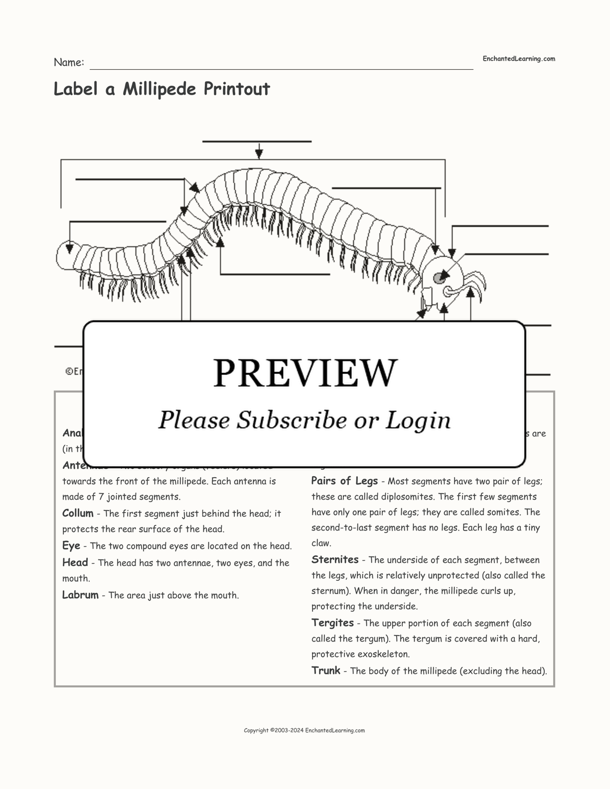 Label a Millipede Printout interactive worksheet page 1