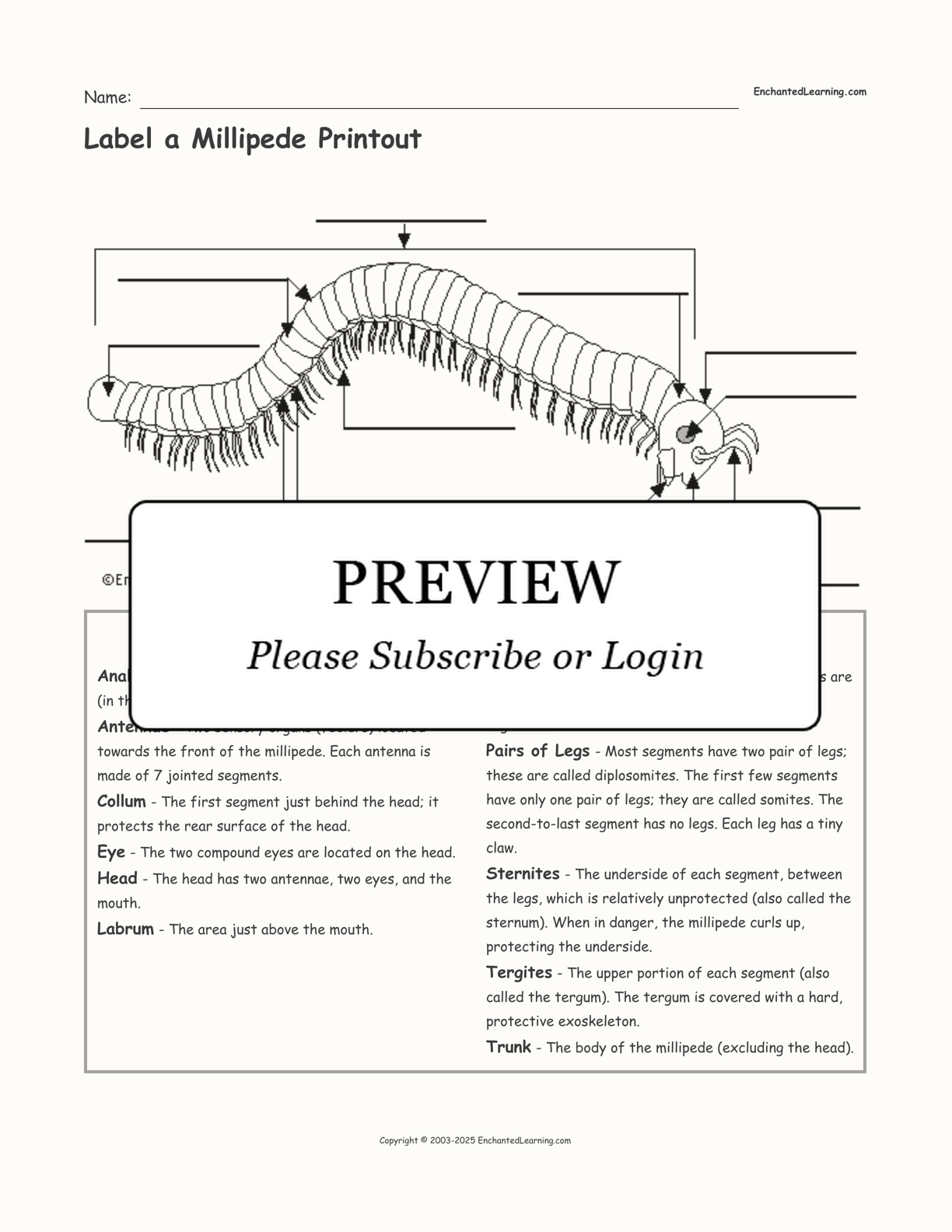 millipede coloring pages