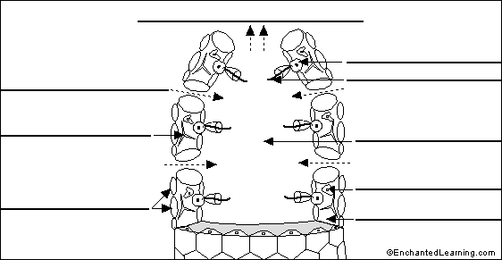 Sponge to label