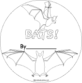 Search result: 'Bat Shape Book: Cover'