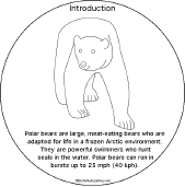 Search result: 'Polar Bear Book to Print: Introduction'