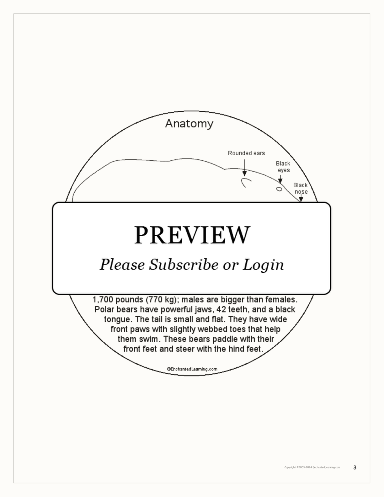 Polar Bear Book interactive printout page 3