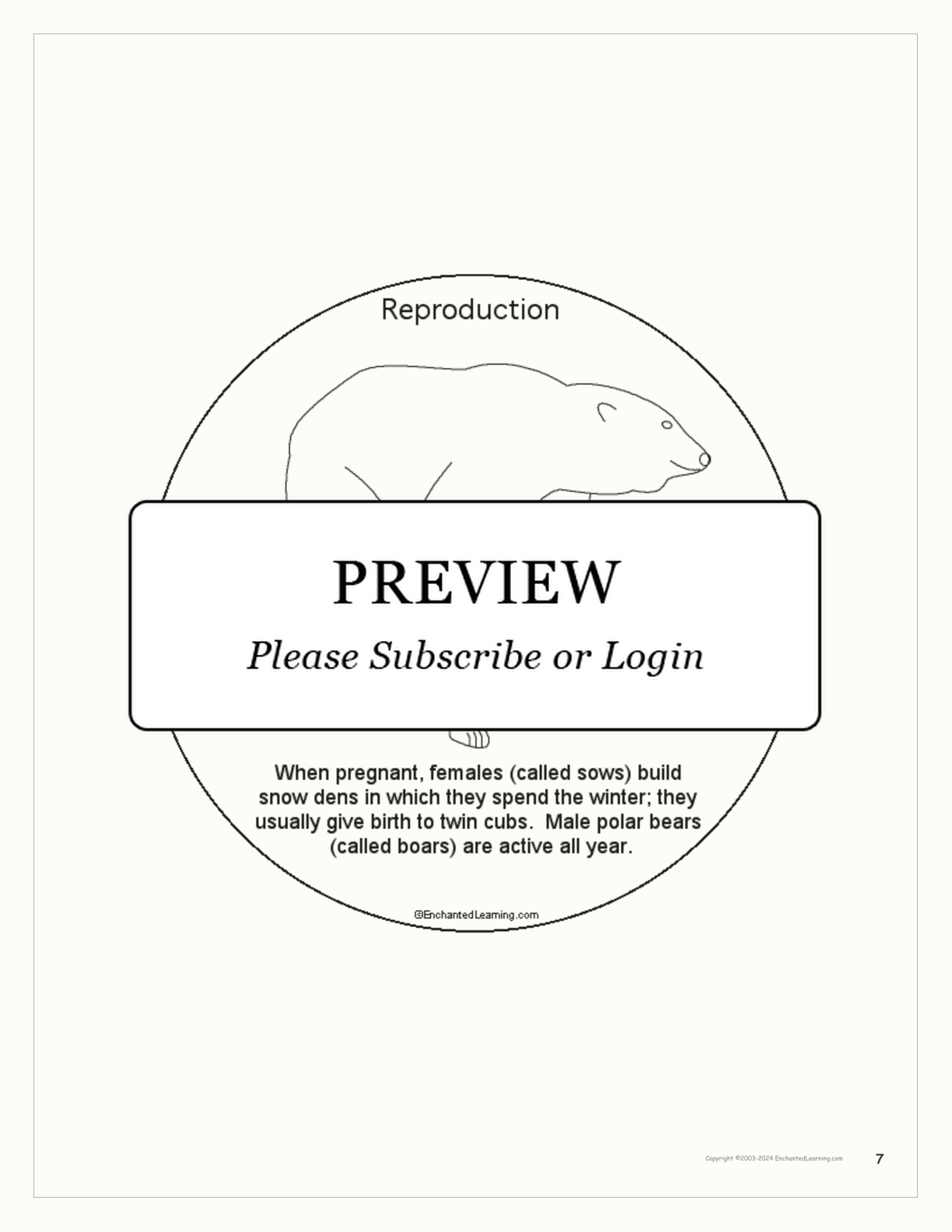 Polar Bear Book interactive printout page 7