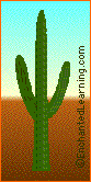 saguaro