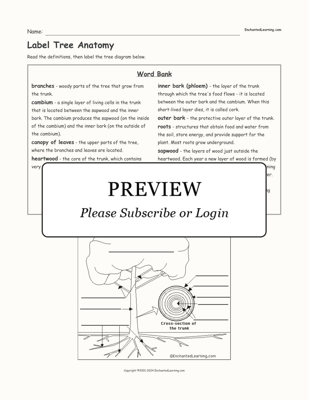 Label Tree Anatomy interactive worksheet page 1