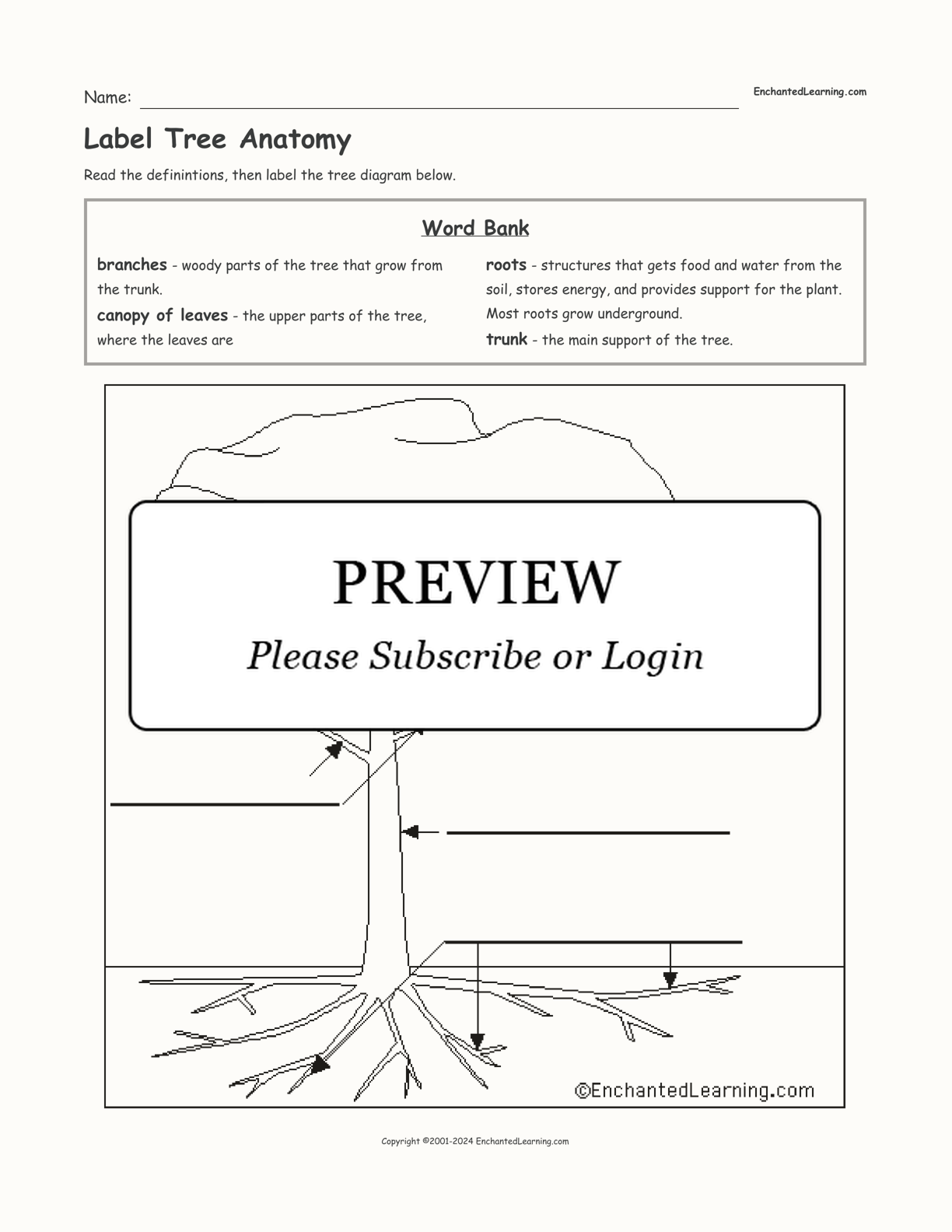Label Tree Anatomy interactive worksheet page 1