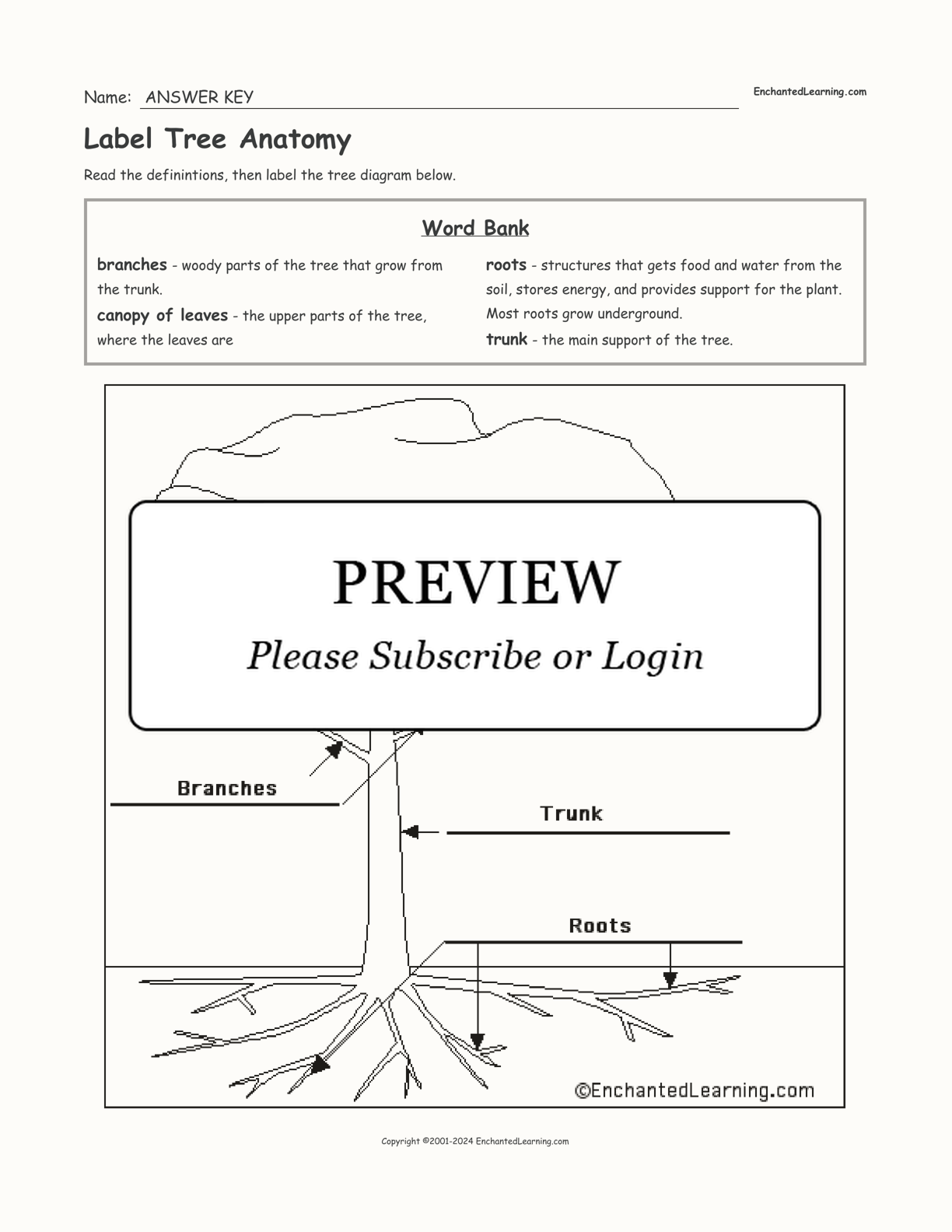 Label Tree Anatomy interactive worksheet page 2