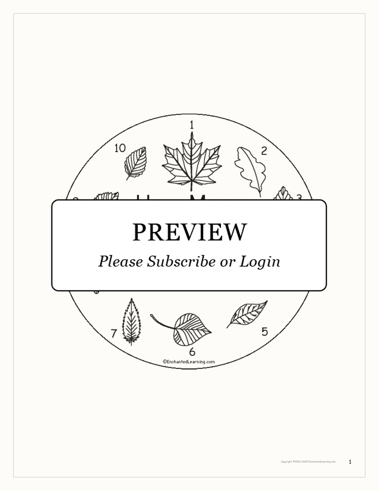 How Many Leaves? interactive printout page 1