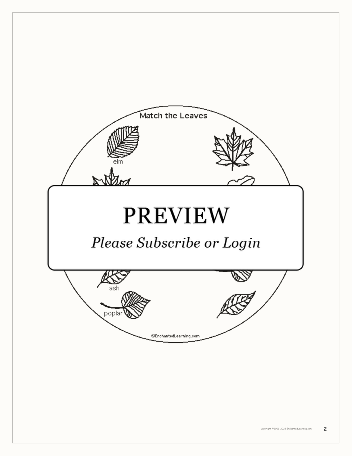 Leaf Printable Shape Book interactive printout page 2