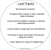 Search result: 'Leaf Shape Book: Facts'