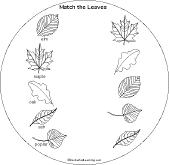 Search result: 'Leaf Shape Book: Match the Leaves'