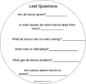 leaf questions