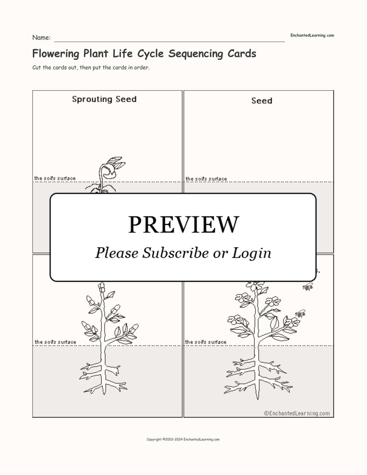Flowering Plant Life Cycle Sequencing Cards interactive worksheet page 1