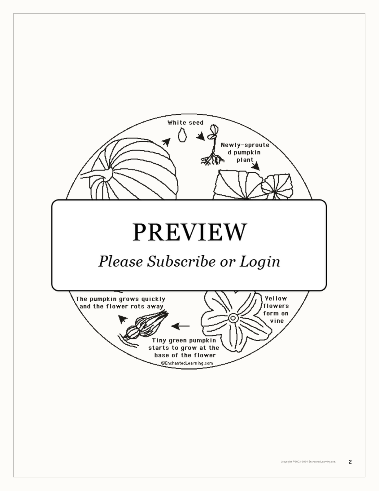Pumpkin Shape Book to Print interactive printout page 2