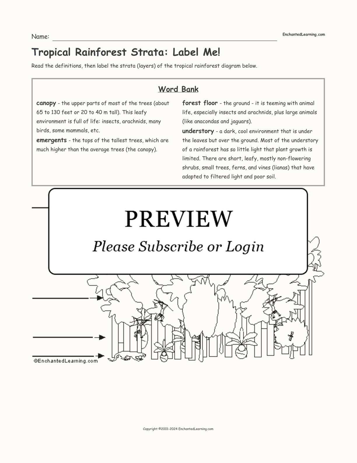 Tropical Rainforest Strata: Label Me! interactive worksheet page 1