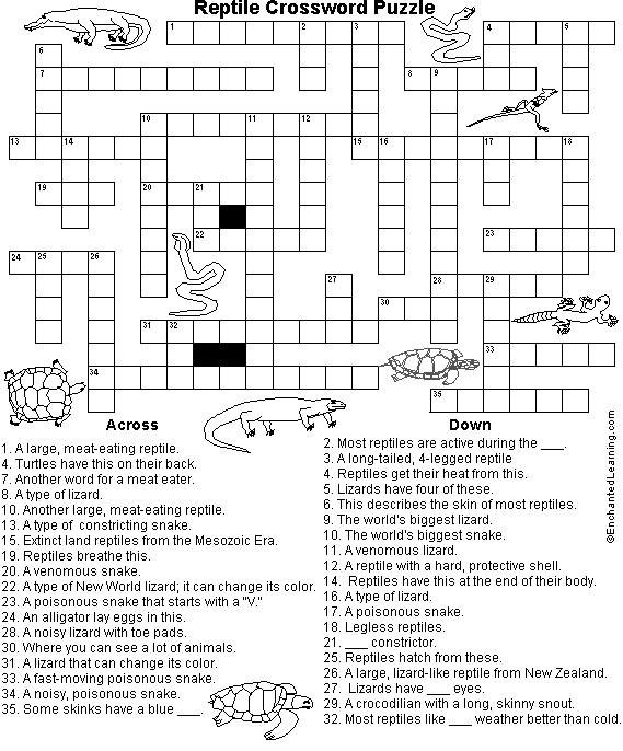 Кроссворд на тему пресмыкающиеся 7 класс с ответами. Кроссворд на тему пресмыкающиеся. Кроссворд на тему земноводные. Кроссворд на тему рептилии. Кроссворд земноводные биология