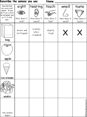 senses chart