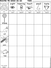 Search result: 'Which Senses Do You Use? Printout #2'