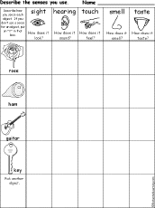 Search result: 'Which Senses Do You Use? Printout #3'