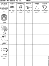 senses chart