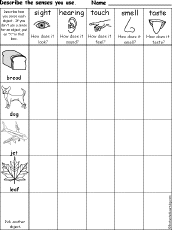 senses chart