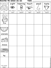 Search result: 'Which Senses Do You Use? Printout #6'