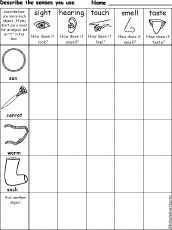 senses chart