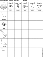 senses chart