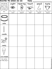 Search result: 'Which Senses Do You Use? Birthday Printout'