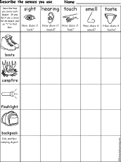 senses chart