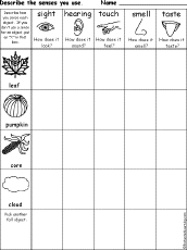 senses chart