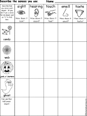 senses chart