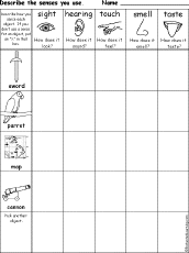 Search result: 'Which Senses Do You Use? Pirate Theme Printout'