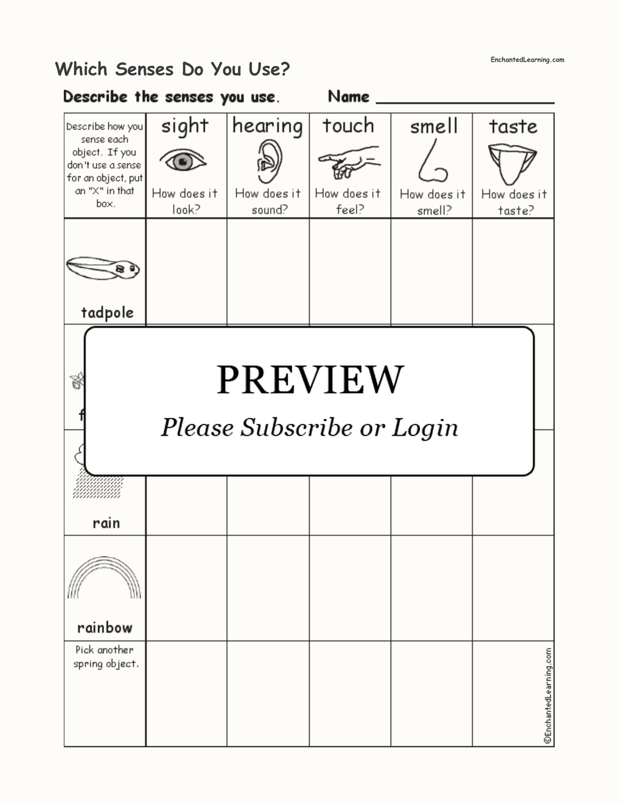 Which Senses Do You Use? interactive worksheet page 1