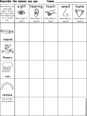 senses chart